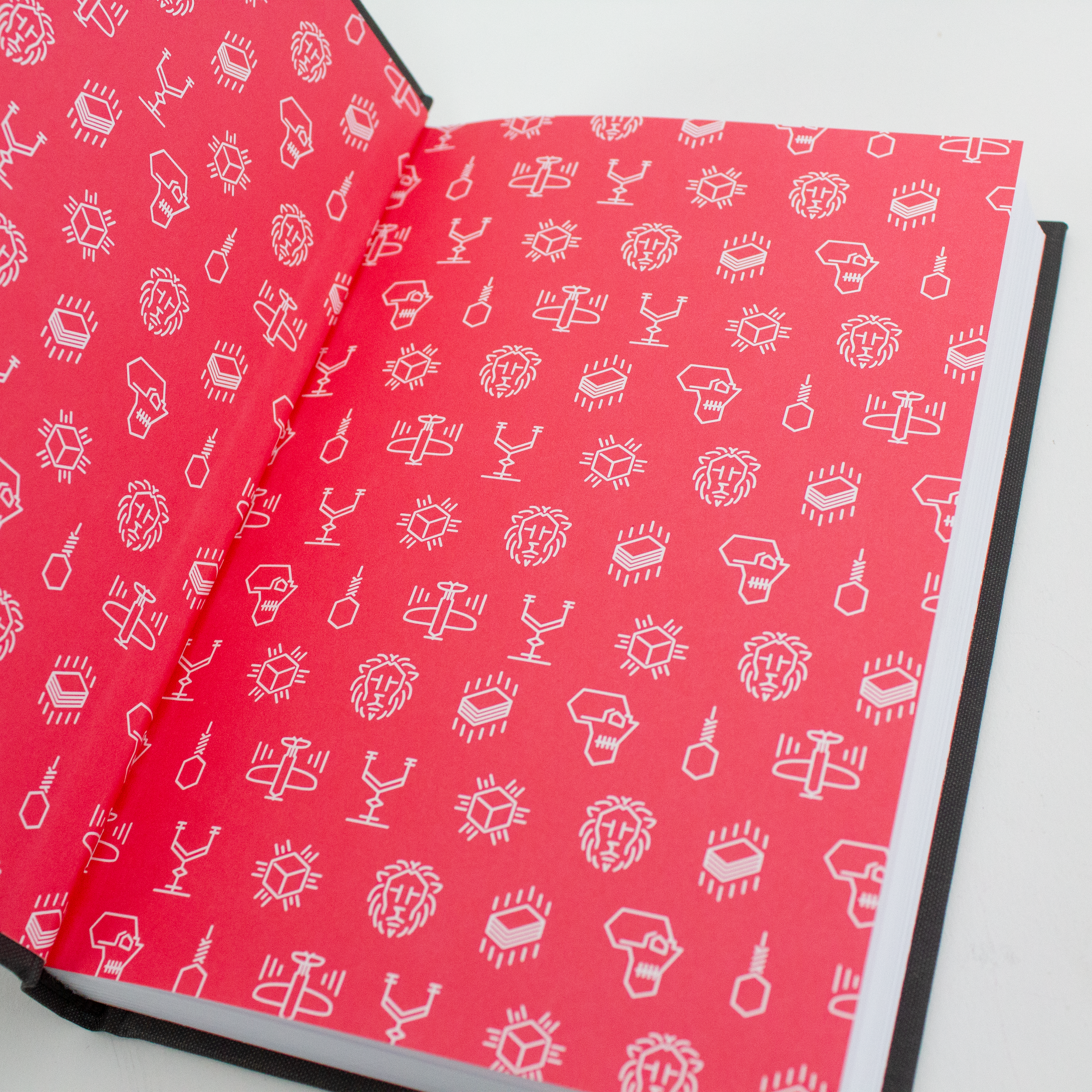 Each book has a bright full color endpaper. I designed an icon for each book in the series.