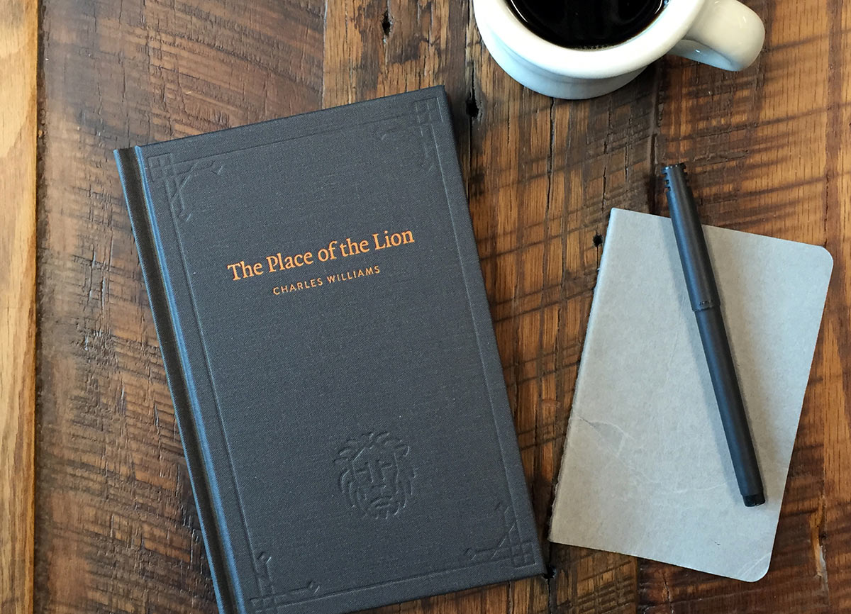 This is the kind of book I wanted to exist!